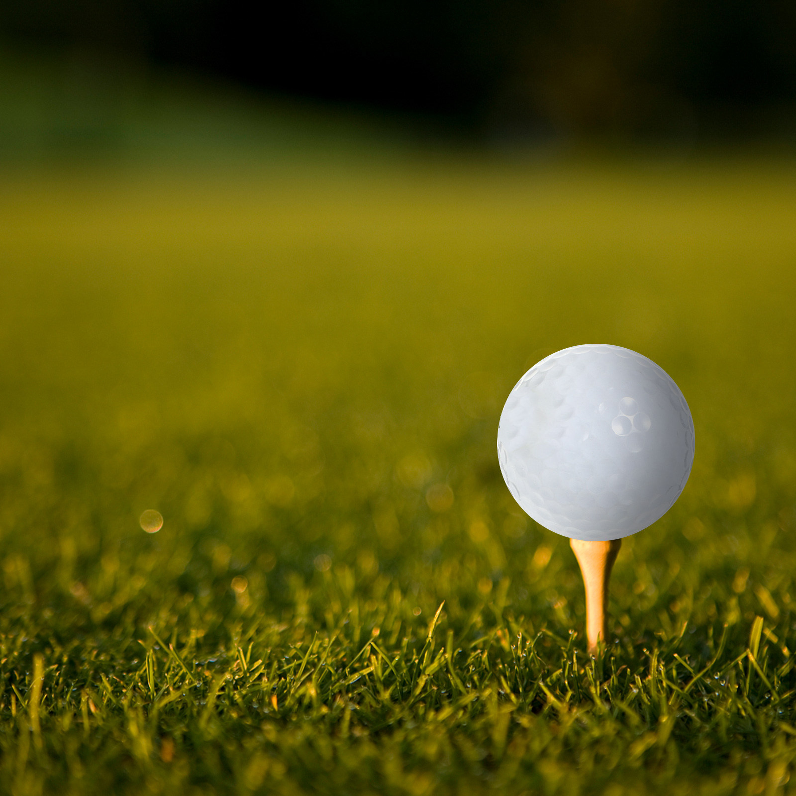 Indoor Practice Golf Balls Equ - Golf Equipment For Beginners 评论和价格